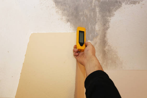 Best Residential Mold Inspection & Testing  in Coldstream, OH