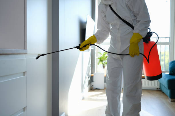Best Airborne Mold Testing  in Coldstream, OH