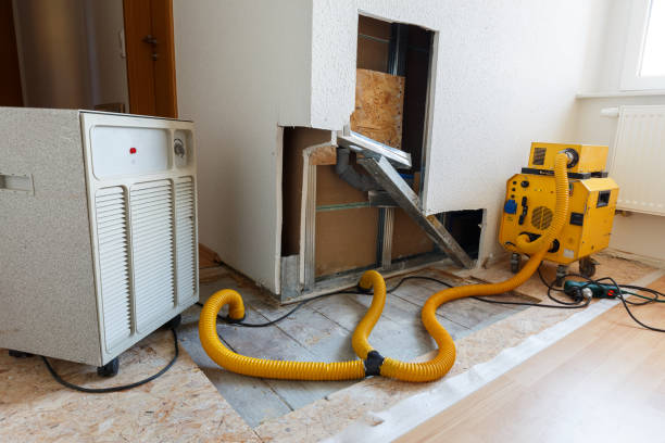 Best Post-Construction Mold Inspection  in Coldstream, OH