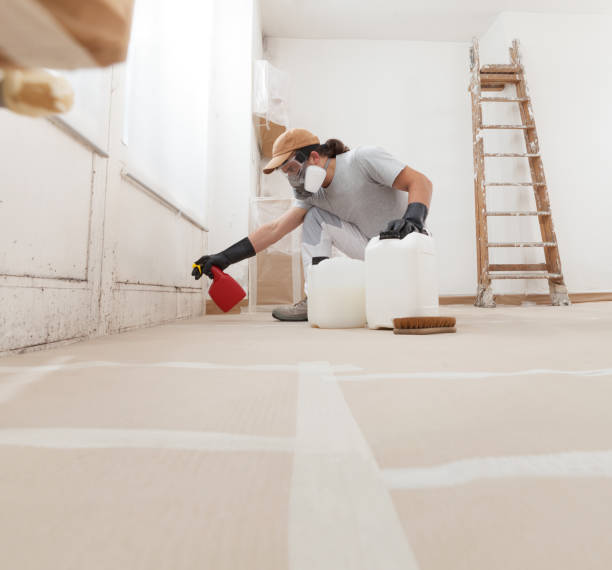Best Forensic Mold Investigation  in Coldstream, OH